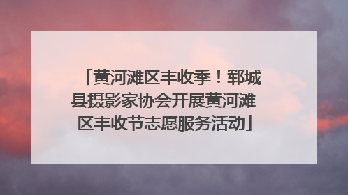 黄河滩区丰收季！郓城县摄影家协会开展黄河滩区丰收节志愿服务活动
