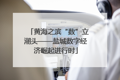 黄海之滨“数”立潮头——盐城数字经济崛起进行时