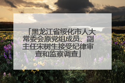 黑龙江省绥化市人大常委会原党组成员、副主任宋树生接受纪律审查和监察调查