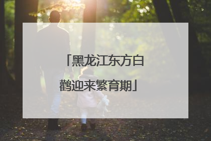 黑龙江东方白鹳迎来繁育期