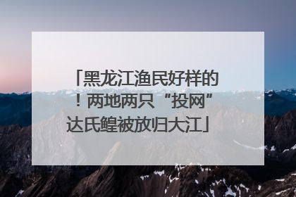 黑龙江渔民好样的！两地两只“投网”达氏鳇被放归大江