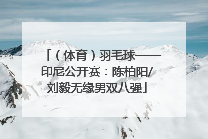 （体育）羽毛球——印尼公开赛：陈柏阳/刘毅无缘男双八强