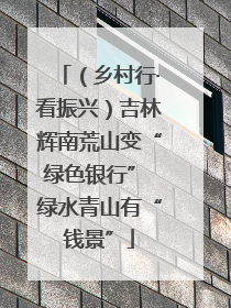 （乡村行·看振兴）吉林辉南荒山变“绿色银行” 绿水青山有“钱景”