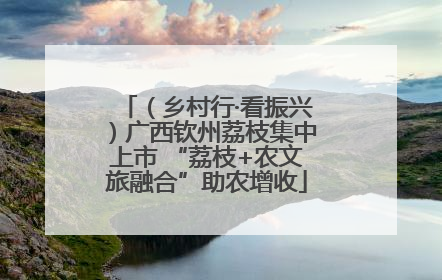 （乡村行·看振兴）广西钦州荔枝集中上市 “荔枝+农文旅融合”助农增收