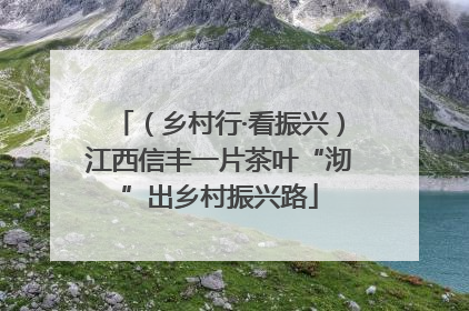 （乡村行·看振兴）江西信丰一片茶叶“沏”出乡村振兴路
