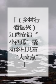 （乡村行·看振兴）江西安福“小西瓜”撬动乡村共富“大支点”