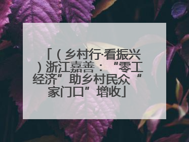 （乡村行·看振兴）浙江嘉善：“零工经济”助乡村民众“家门口”增收