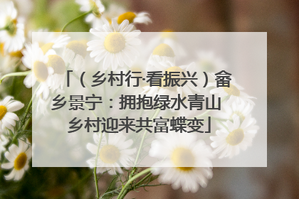 （乡村行·看振兴）畲乡景宁：拥抱绿水青山 乡村迎来共富蝶变