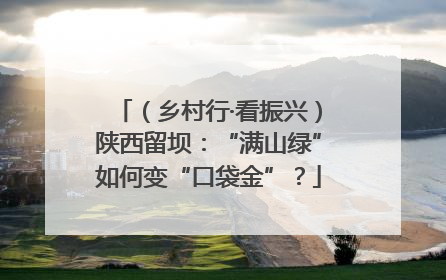 （乡村行·看振兴）陕西留坝：“满山绿”如何变“口袋金”？