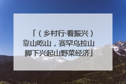 （乡村行·看振兴）靠山吃山，赛罕乌拉山脚下兴起山野菜经济