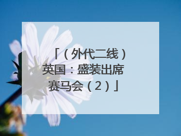 （外代二线）英国：盛装出席赛马会（2）