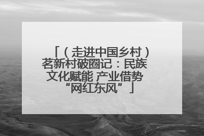 （走进中国乡村）茗新村破圈记：民族文化赋能 产业借势 “网红东风”