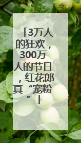 3万人的狂欢，300万人的节日，红花郎真“宠粉”