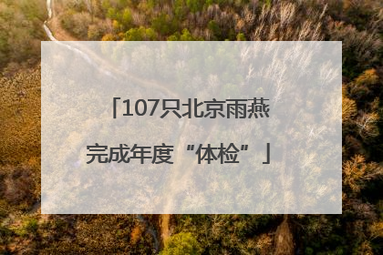107只北京雨燕完成年度“体检”
