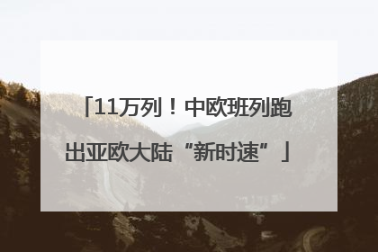 11万列！中欧班列跑出亚欧大陆“新时速”