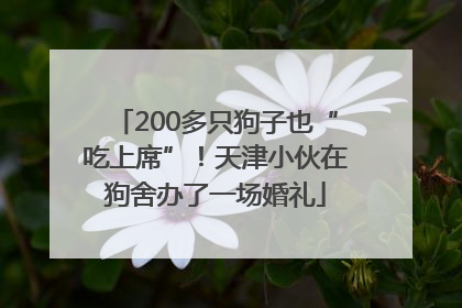 200多只狗子也“吃上席”！天津小伙在狗舍办了一场婚礼