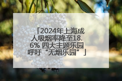 2024年上海成人吸烟率降至18.6% 四大主题乐园呼吁“无烟乐园”