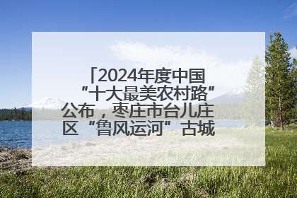 2024年度中国“十大最美农村路”公布，枣庄市台儿庄区“鲁风运河”古城文化廊道上榜！