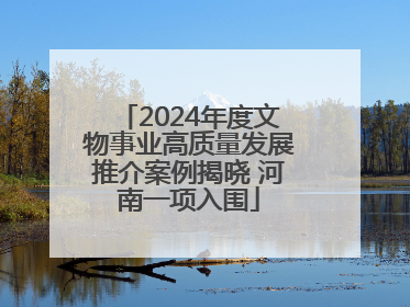 2024年度文物事业高质量发展推介案例揭晓 河南一项入围