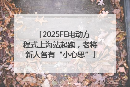 2025FE电动方程式上海站起跑，老将新人各有“小心思”
