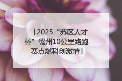 2025“苏区人才杯”赣州10公里路跑赛点燃科创激情