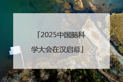 2025中国脑科学大会在汉启幕