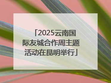 2025云南国际友城合作周主题活动在昆明举行
