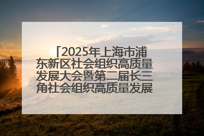 2025年上海市浦东新区社会组织高质量发展大会暨第二届长三角社会组织高质量发展峰会成功举办