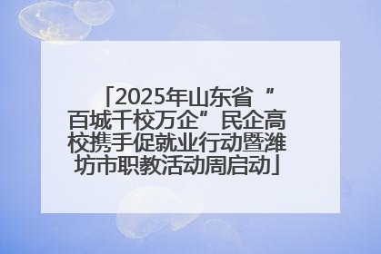 2025年山东省“百城千校万企”民企高校携手促就业行动暨潍坊市职教活动周启动