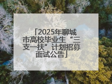 2025年聊城市高校毕业生“三支一扶”计划招募面试公告
