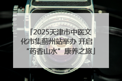 2025天津市中医文化市集蓟州站举办 开启“药香山水”康养之旅