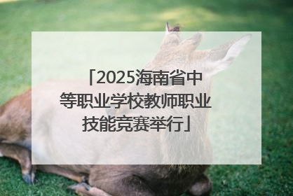 2025海南省中等职业学校教师职业技能竞赛举行