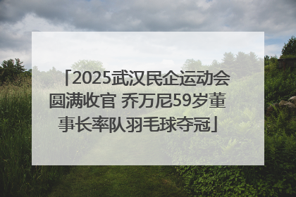 2025武汉民企运动会圆满收官 乔万尼59岁董事长率队羽毛球夺冠