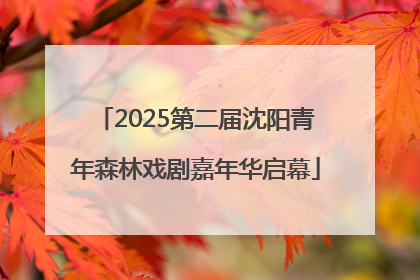 2025第二届沈阳青年森林戏剧嘉年华启幕