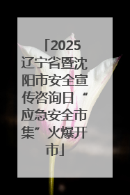 2025辽宁省暨沈阳市安全宣传咨询日“应急安全市集”火爆开市