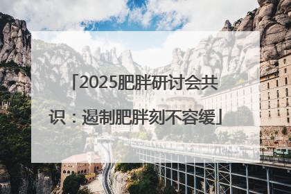 2025肥胖研讨会共识：遏制肥胖刻不容缓