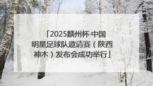 2025麟州杯·中国明星足球队邀请赛（陕西神木）发布会成功举行