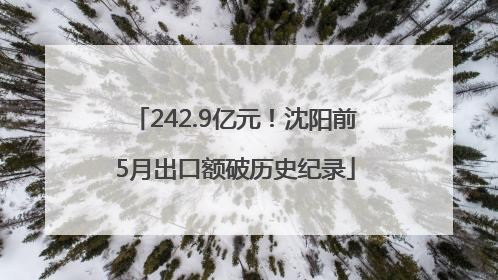242.9亿元！沈阳前5月出口额破历史纪录