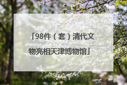 98件（套）清代文物亮相天津博物馆