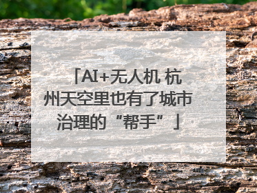 AI+无人机 杭州天空里也有了城市治理的“帮手”