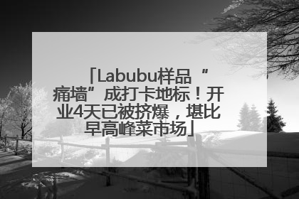 Labubu样品“痛墙”成打卡地标！开业4天已被挤爆，堪比早高峰菜市场